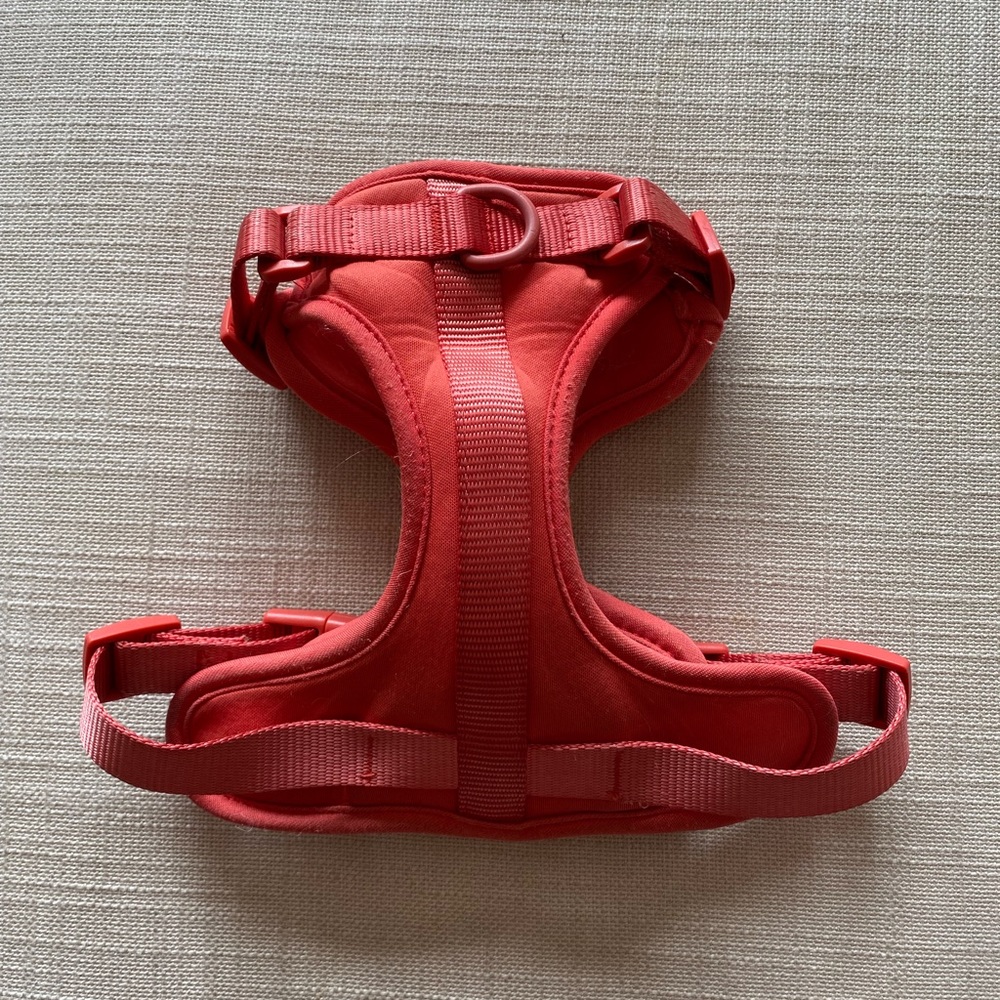 Wild One Dog Harness